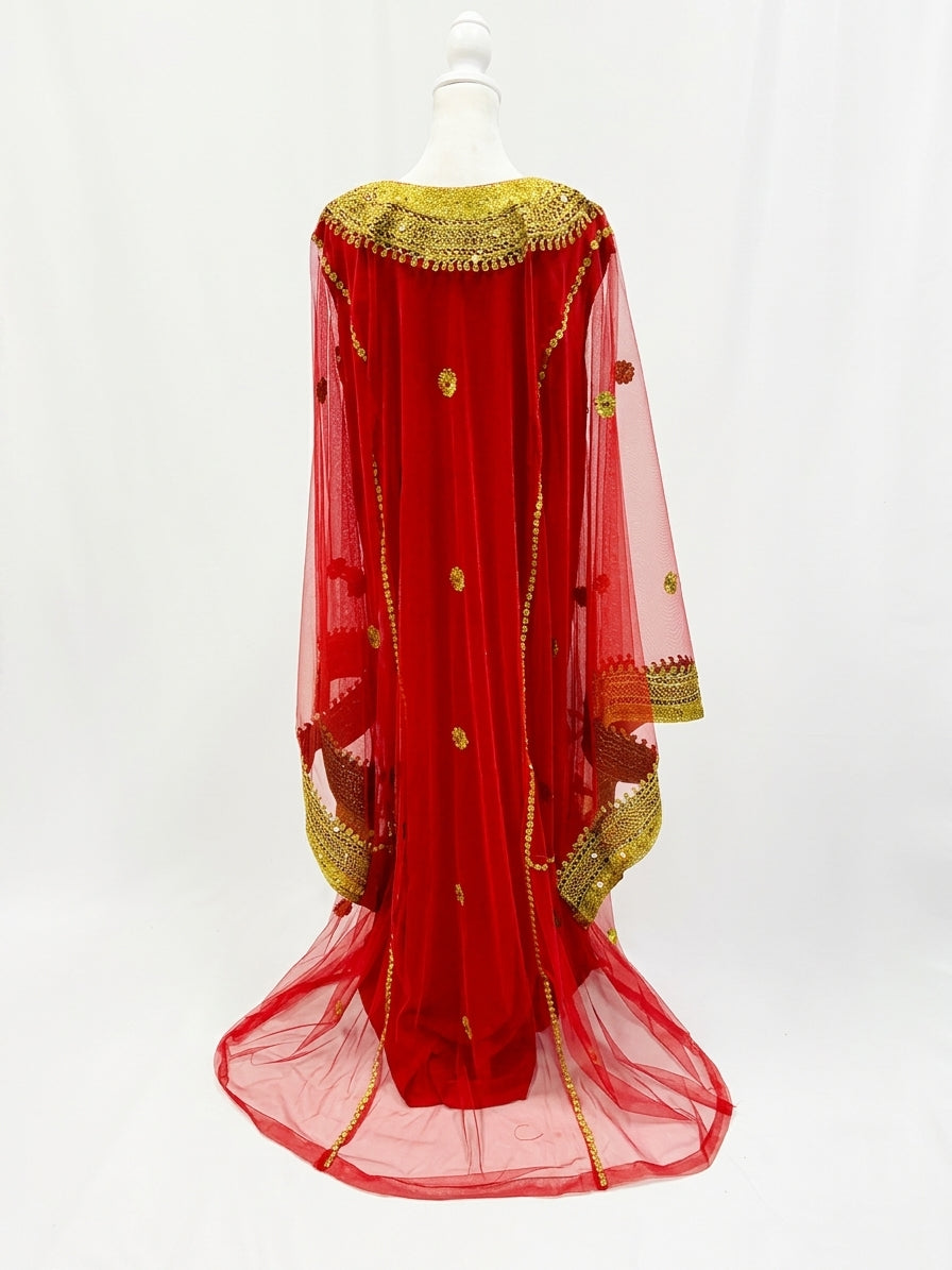 Red Hashimi (Nashel) Traditional Dress Tulle with Gold Embroidery